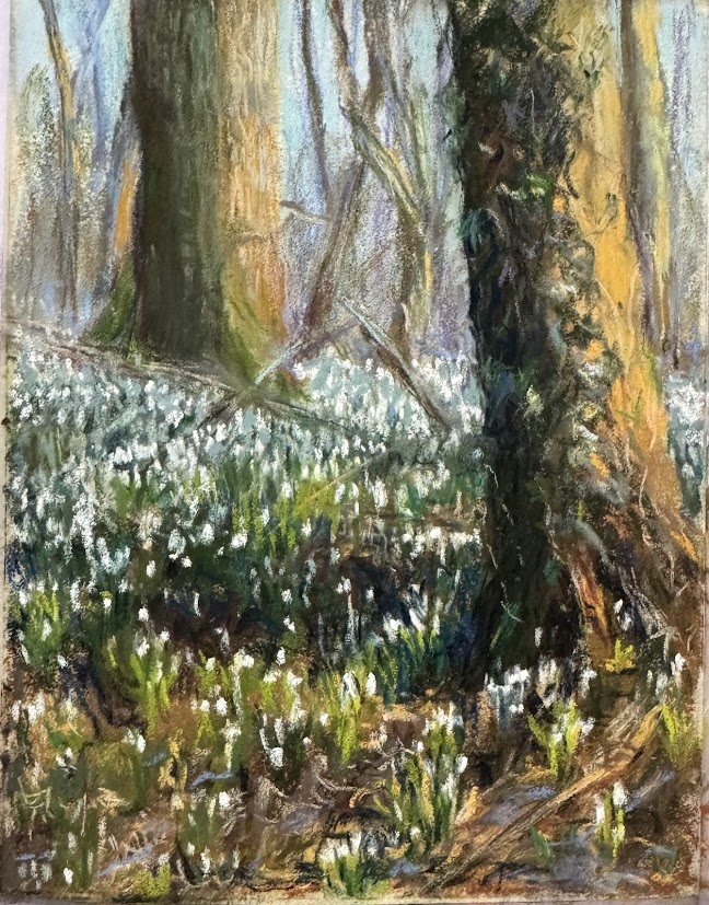 Bloeyendael februari 2025