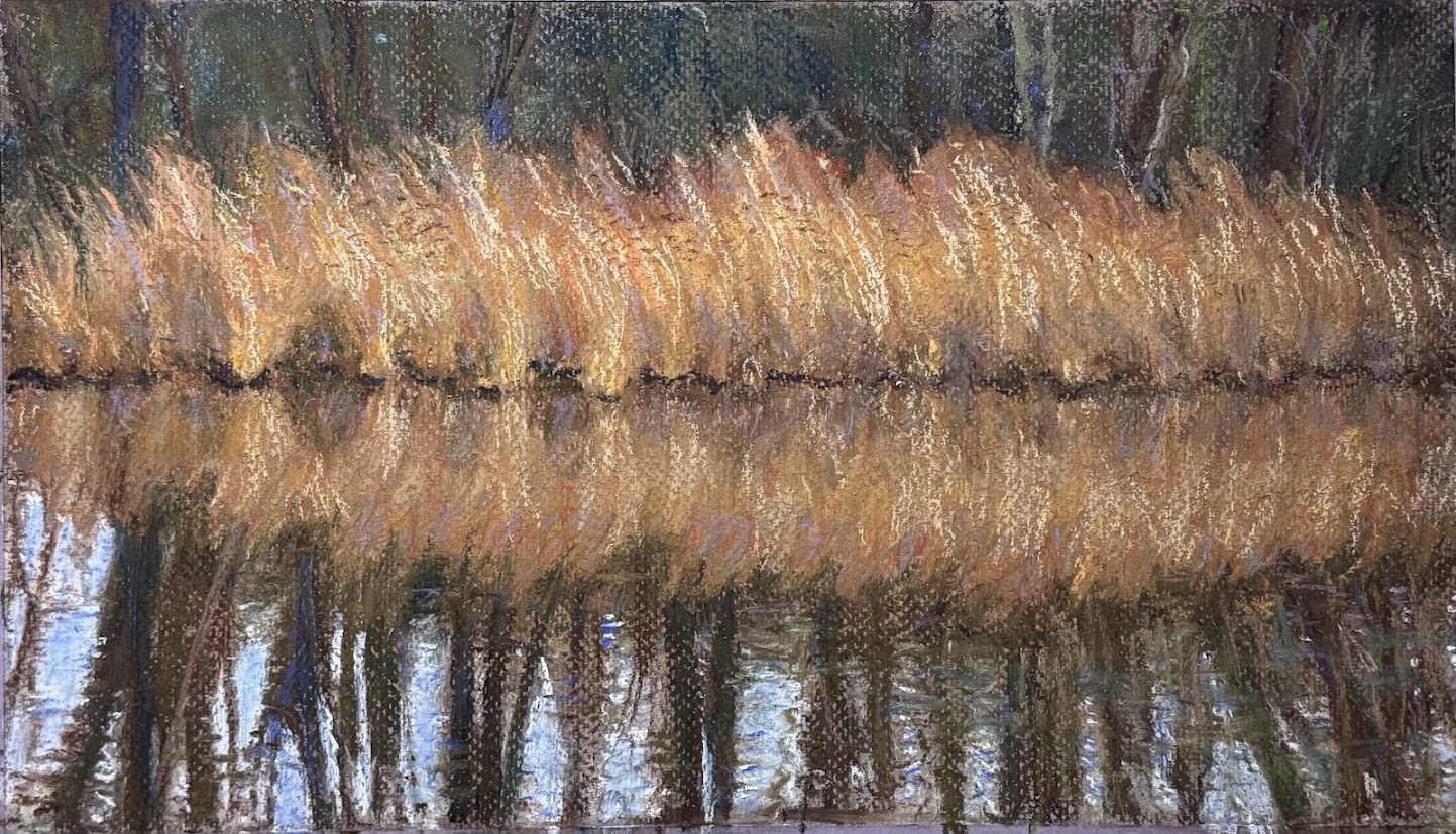 Bloeyendael januari 2025